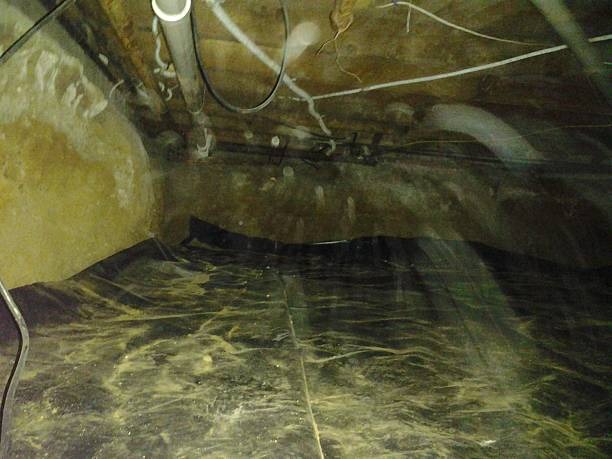 Book a Local Crawlspace Company for Fast and Reliable Service