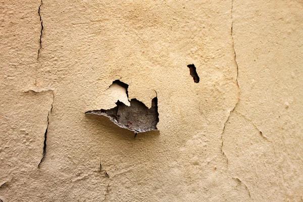 Local Water Damage Repair Services to Prevent Mold and Structural Damage