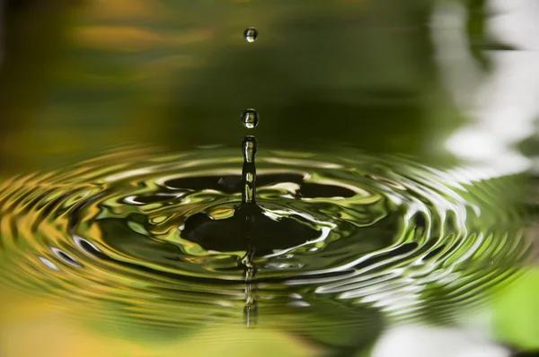 Everything You Need to Know About Water Leaks Severna Park