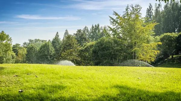 Affordable water mitigation services for damaged properties
